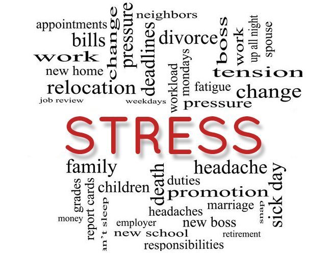 Effects of Stress on Health
